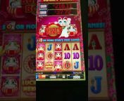 G Money Slot Machine Videos