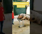 Porcinos del Peru