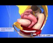 Anatomie 3D Lyon