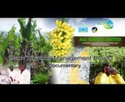 Black Sigatoka Management Project Documentary