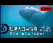 Discovery頻道 / Discovery Channel Taiwan