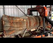 AIM Timber