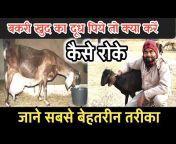Vimal Goat Farming Tips