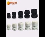 Risin Energy Co. Ltd