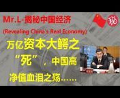 Mr. L-揭秘中国经济 (Revealing China&#39;s Real Economy)