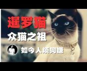 Cat&#39;s Eye Vision - Xi He