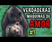 Animalogic En Español