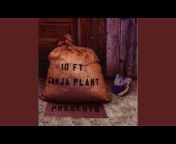 10 Ft. Ganja Plant - Topic