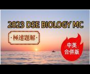 DSE paper 躺平對抗路