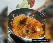 saniya cooking channel