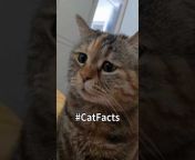 1 Min Pet Facts