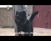 Sarab Kennel Official