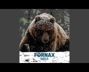 Fornax - Topic