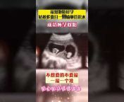 上海试管婴儿代孕-李主任