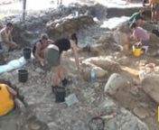 A team of archaeologists discovered a storage room while excavating the site of Tel Kabri in northern Israel. The room measured approximately 15-by-25 feet, and held 40 wine jars that were 3,700 years old. The cellar could have held the equivalent of 3,000 bottles of reds and whites.nnFor more information: https://mediarelations.gwu.edu/found-one-civilization%E2%80%99s-oldest-wine-cellars