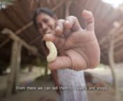 This gentle and powerful film gives insight into the life of Gheetha, a woman whose cashew business has helped support her family, as well as other women in her community.