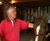 Spend an afternoon at the Cedar Brook Stables as Mike Cox, along with his family and friends, get a Hackney pony ready for the Mercer County Fair in Harrodsburg, Kentucky.