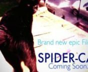 This video is about Spider-Cat. It&#39;s a amateaur home video which I put together as a viral for youtube. Just making fun of my fat cat.