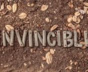 Invisible to invencible from invencible