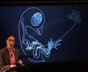 Research meets fantasy in THEORY of FLIGHT, a performance by Anna Lindemann, a composer and artist trained in evolutionary and developmental biology. In a twist on the ancient myth of Icarus, a lecturing scientist reveals she’s been growing her own wings using avian genes. Animated chalkboard diagrams convey the molecular biology, while vocal music and animated silhouettes advance the plot, about the risks and rewards of pursuing impossible research.nnTHEORY of FLIGHT features Lucy Fitz Gibbon