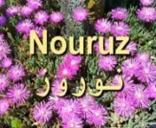 Nouruz (