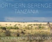 The Serengeti takes its name from the Maasai word,