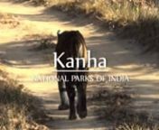 Kanha National Park from kanha
