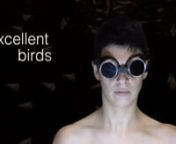 EXCELLENT BIRDSnnChoreography / Voice / Installation nnPremiere: 19/2/2015 / 20:00 / Kunstverein Harburger Bhf and 20.-22.2.2015 / 20:00 UhrnnEintritt frei!nnSubject: Visit EXCELLENT BIRDS!nn„We would like to take this opportunity to inform you about the fact that thinking will end with the sun’s death! While we talk, the sun is getting older. It will explode in 4.5 billion years. With the sun’s death - what remains will belong to no one. Together with the earth human thinking will burn do
