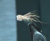 An attractor pattern that can be fished wet or dry. Used as a dry fly it floats well. I sometimes skate it across the surface by twitching the rod tip.nnHook: #10 Mustad 94840 nBody: Blend of hare&#39;s ear and clear antronnRib: Silver tinselnLegs: Pheasant tail fibers, knottednHead: Natural deer hair