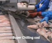The purpose of Super Chiller is to build up strength to the fillets by taking them into subzero state. Fillets in subzero state (-1°C) are both firm and elastic and have optimum resistance for further processing. The result is, better quality, more product yield, no need for icing when put into transportation, and extended shelf life. The Super Chiller increases your product value and therefor pays off in 1-2 years depending on your production.nnThe key factor for cooling the fillets is the Ska