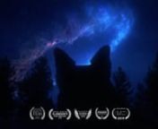 A downtrodden house dog escapes into the woods at night to follow the psychedelic temptations of the natural world.nnOFFICIAL SELLECTION: nSlamdance Film Festival 2019nPendance Film Festival 2019nFlorida Film Festival 2019nNewport Beach Film Festival 2019nSt Kilda Film Festival 2019nQueen Palm International Film Festival 2019nSan Francisco Frozen Film Festival 2019nWoods Hole Film Festival 2019nNòt Film Festival 2019nDrunken Film Fest Bradford 2019nPort Townsend Film Festival 2019nNY Dog Film Fe