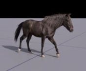 Hiya, nnHere is a horse we did at Cinesite VFX. It was a lot of fun to work on. I did the modellling, texturing grooming, lookdev and lighting on this. The amazingly talented Chris Hogstead did the CFX work. I hope you like it.