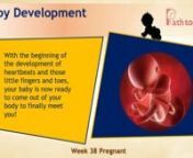 38 weeks pregnant: Path To Mom brings to you a comprehensive guide on 38 weeks pregnancy. nThis video will explain the size of the baby, symptoms, diet, thoughts, ultrasound, to-do and to avoid things, and reminders during the thirty-eighth week of your pregnancy.nFor more interesting articles on week by week pregnancy please visit:nhttps://www.pathtomom.com