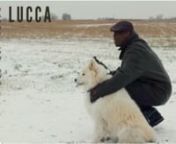 After reflecting on the subjects of cancer and time in Now Is The Time I; Craig McKenzie leads his family with Lucca (a therapy dog) to reflect on the subjects once again by sharing the recent events in their yearly family video - all to find that the most unexpected creatures bring enlightenment!