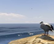 Outcast, 2017, digital video from Grand Theft Auto V in-game video editor (PC), voice-over by Gazi Mrah, texts based from Jonathan Livingston Seagull (Richard Bach)nnA narrator in a style of a self-help guru is telling a story based from Jonathan Livingston Seagull, a seagull who is bored with daily squabbles over food and who instead is trying to learn about life, flight, and self-perfection. Seized by a passion for flight, he pushes himself and learns everything he can about flying. His increa