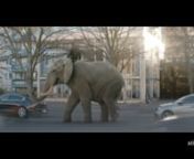 On this project i got the chance to work on a photoreal elephant and plan the vfx pipeline from animatic, over the construction of the dummy-elephant, set supervision to animation and skin-simulation.
