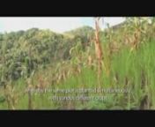 Documentary ShowreelnnnDNPInnA Short-Documentary on Climate Change that occur in Indonesia. Airputih Production was appointed to produce this short-documentary in the year 2011. Our team went to Tompu Village in Central Sulawesi&#39;s mountainous area and West Papua&#39;s deep forest. And last but not least, Jakarta City itself. Produce and release in October 2010nnProducer: Indra A PasaribunAssoc. Producer: PhionProduction Asst 1: WahabnProduction Asst 2: Maikel MnnDirector: Lianto LussenonDOP: Barly J