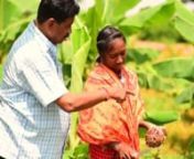 “A &#39;Zero To Hero&#39; Collaborative Approach&#39;’ tells the inspirational success story of a unique Public-Private- Academia-Community Partnership (PPACP) which led to the upliftment of farmers in Nabarangpur District [a district in Odisha (India) otherwise known as District Zero for being the poorest district in India]. This project has transformed them into heroes.nnAn agrarian Panchayat realizes need of ‘extension activities’ to improve yield and quality in agriculture. It collaborates with