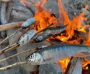 [おろちんゆー] 釣った魚を焚き火でいただく (QTNm7k5Jnaw) from jnaw