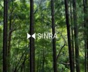 ユーザーがデジタルアートを保有して気候変動問題を解決するプロジェクト「SINRA（シンラ）」が三重県尾鷲市で開催したフィールドワークの映像を担当しました。nnSINRAnhttps://sinra.app/jpnn■ 製作：株式会社paramitan■ 撮影・編集：株式会社Ahare