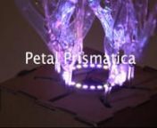 Designed and created by Yanqi Shao, Yunxi Lu, and Qingyuan Zhou from the University of Edinburgh. nnPetal Prismatica is an interactive art installation that transforms through light and color, showing that every life has its own unique perspective and offering a reflection on the fragility and beauty of butterflies and nature.