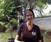 Meet GVI’s Jill,also known by her rap name, Rainmaker, or her spiritual name, Field Whisperer. Her journey with GVI began back in 2007 as Thailand&#39;s Country Director, where she helped set up GVI’s first TEFL program!nnNow she is based in Chaing Rai, Thailand. Jill&#39;s role involves providing support for all of our programs around the world. Working closing with each base, she looks to identify and manage any issues that occur so GVI are able to offer the best programs possible.nnJill is origin