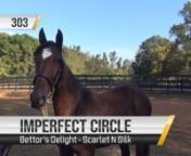 303 – Imperfect Circle (ONT) – b.f.nBettor’s Delight – Scarlet N Silk – Always A VirginnSelling Nov. 6-8 at the Standardbred Horse Sale (Harrisburg, PA)nConsigned by Fox Den Farm, Agent.nRaised at Olive Branch Farm, Wingate, NC.