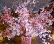 2024.3/20～4/7の期間中、グランドエクシブ鳴門では「桜フェスティバル」」を開催。n館内も春色に飾られ、レストランの料理も彩り豊かに。nn例年よりも少し早いとされている今年の桜の開花情報も掲載中です。nn▼グランドエクシブ鳴門・桜フェスティバルnhttps://www.rtg.jp/hotels/xiv/naru/reco/detail/?reco=00097