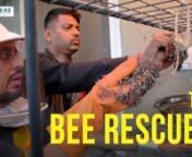 Amit Godse, the visionary behind Bee Basket, has embraced the mission of saving these invaluable insects, earning the moniker