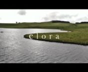 ELORA - FORGET THE RULES - FALL WINTER from elora