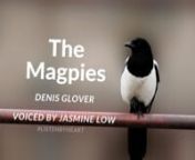 The Magpies is one of the most well-known poems, depicting the everlasting and unchanging Magpie call (nature) as life happens (passage of time). It was written in only six stanzas by New Zealand poet, printer, publisher, satirist, sailor and boxer Denis Glover (1912-1980). And here’s the most famous, benign line that seems so simple and yet time withstanding:n—n“And Quardle oodle ardle wardle doodle/The magpies said,”n—nnThe Australian Magpie (Gymnorhina tibicen) is a black and white