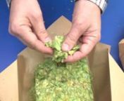 Brewing TV heads to Yakima, WA for a one-on-one tour and discussion with Hop Union president Don Bryant. We see how pellets are made and packaged and join Northern Brewer president Chris Farley during the hop selection process. [Original postdate: October 19, 2012]