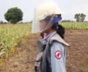 A documentary about the female landmine clearance workers of Cambodia, following Cambodian Mine Action Centre (CMAC) and Cambodian Self Help Demining (CSHD). nMusic by Jack HeynnTo read more about the filming and production of this documentary please see Emma Fry&#39;s website: http://missemmafry.wordpress.com/