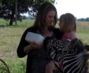 Two families bonded through tragedy found joy sharing a spot of tea with a zebra.nnThat was the unusual scene Sunday after Cailyn Nelson, a terminally ill 3-year-old, stretched from the 10-hour car ride to Rosebrock Ranch, a place that boasts donkeys, longhorns, chickens and horses galore.nnSurrounded by her family, friends and countless cameramen, Cailyn searched for the striped creature, her face lighting up like a Christmas tree as soon as she spotted it.nn“Lucy! Lucy! Where are you, Lucy?